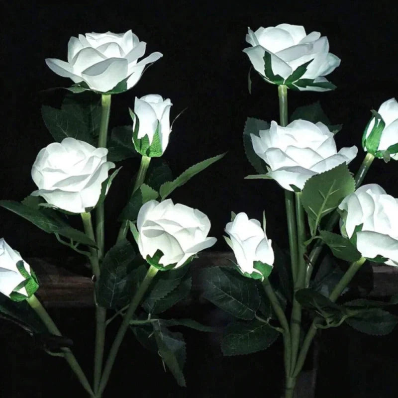 Everbloom Solar Flower Lights