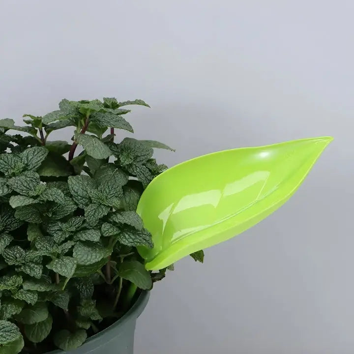 Happy Growers | SprayLeaf Sustainable Plant Care
