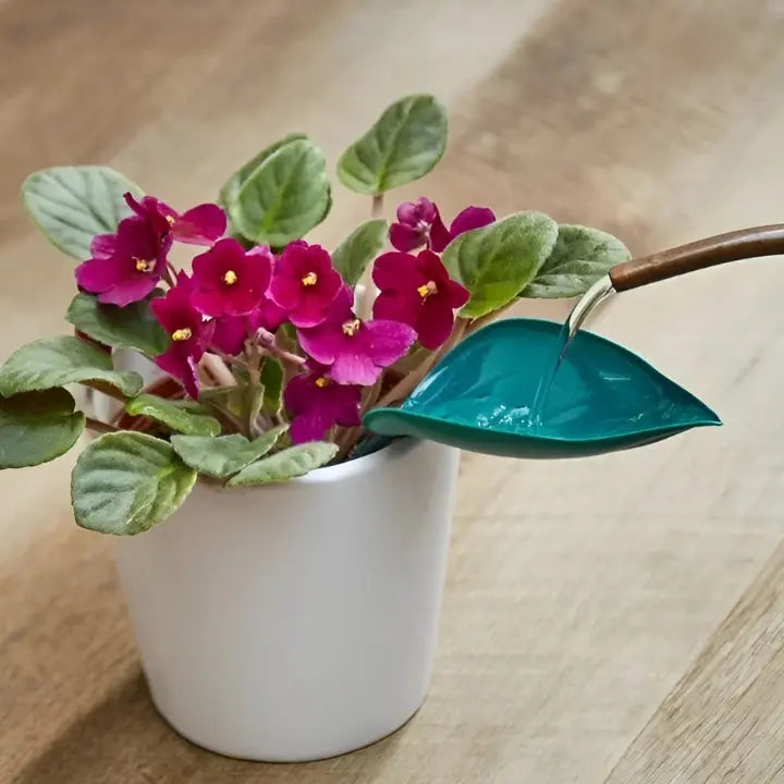 Happy Growers | SprayLeaf Sustainable Plant Care