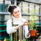 Plastic ring for holding plants | House Growers