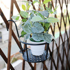 Happy Growers | Hanging Window Flower Basket