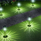 Atmospheric Solar Garden Lighting - SolarAura |