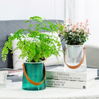 Happy Growers | Self-Watering Indoor Succulent Hydroponic Planter with Handle