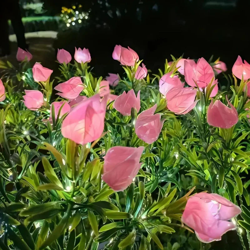 Everbloom Solar Flower Lights