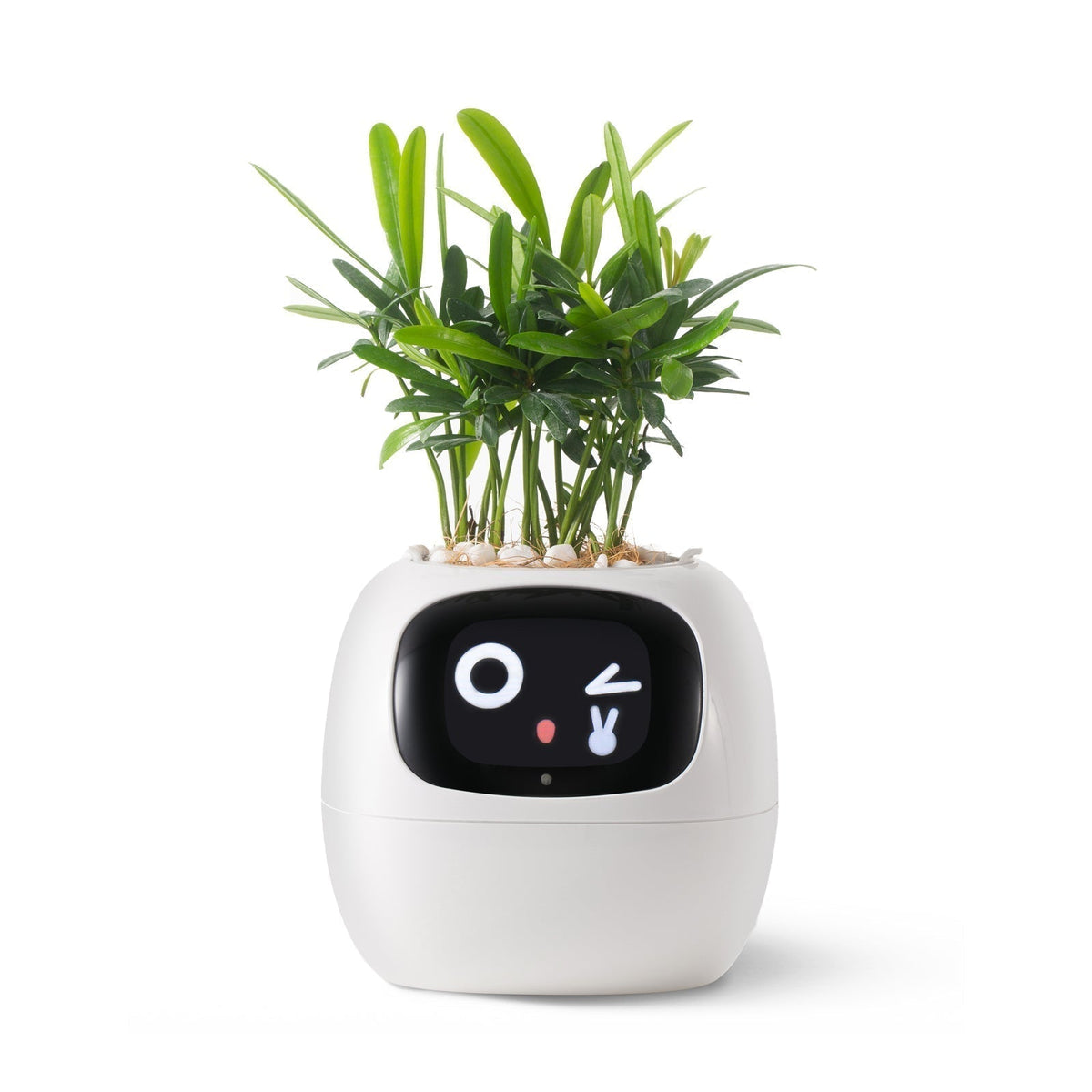 VerdeGlow – Self-Watering Smart Plant Pot  Automatic Irrigation  Modern Indoor Planter