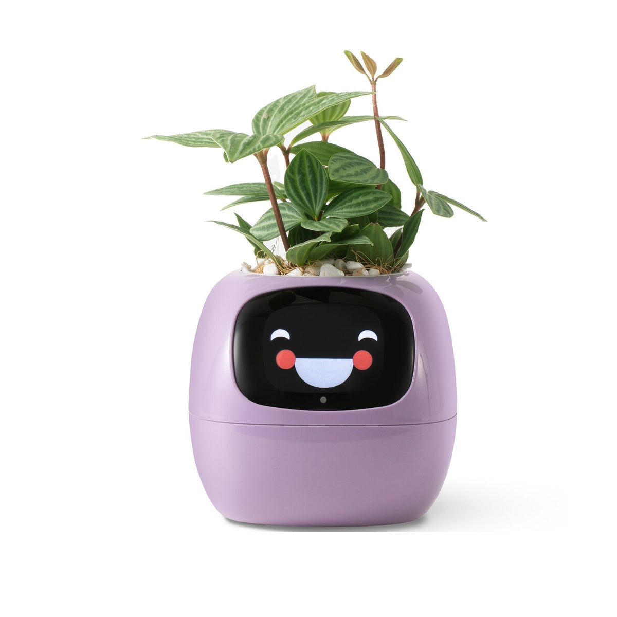VerdeGlow – Self-Watering Smart Plant Pot  Automatic Irrigation  Modern Indoor Planter