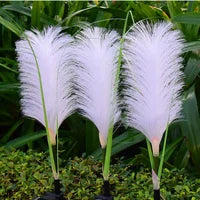 Decorative Rattan Garden Lighting - SunReed |