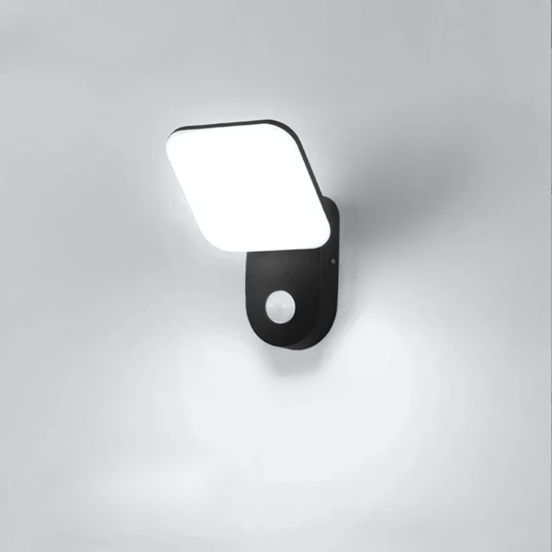 LumaGuard Outdoor LED Light with Motion Sensor