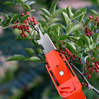 Efficient Pepper Picking Tools | House Growers