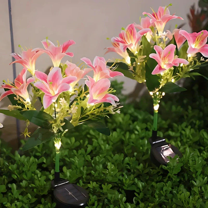 Everbloom Solar Flower Lights