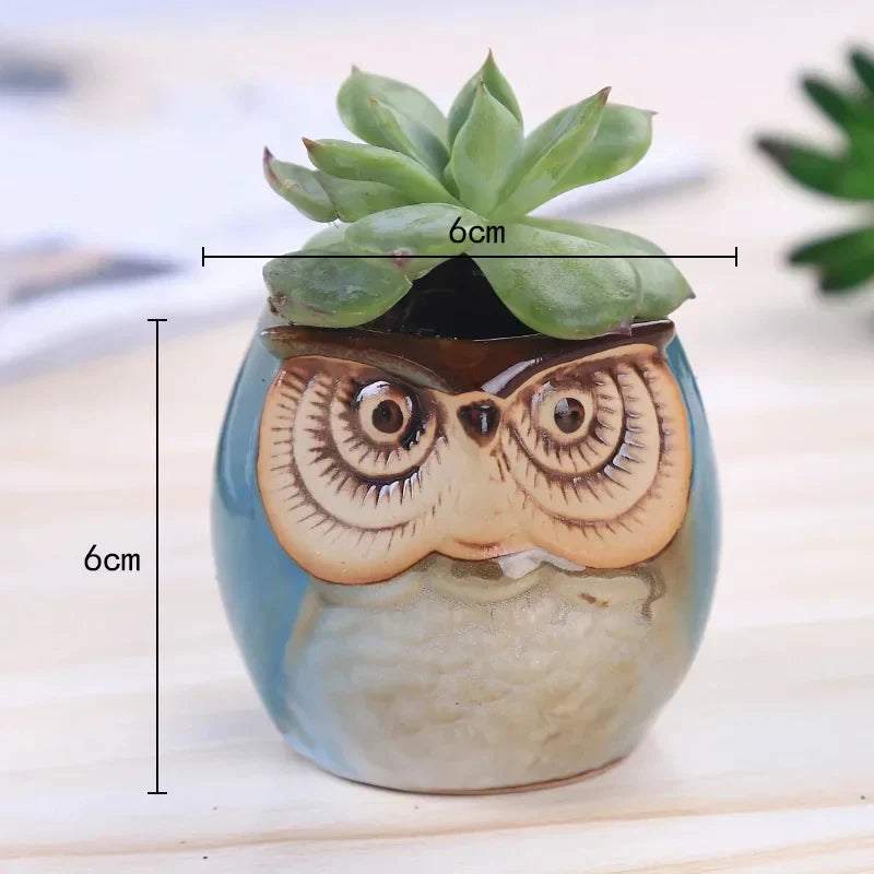 Happy Growers | Mini Owl Ceramic Plant Planter