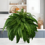 Happy Growers | Artificial Boston Fern Home Decor Plant