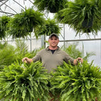 Happy Growers | Artificial Boston Fern Home Decor Plant