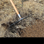 House Growers | Asphalt Rake 4 Teeth Multifunctional Garden Hand Rake Gardening Tools Mini Hand Cultivator Heavy Duty Carbon Steel Garden Rakes