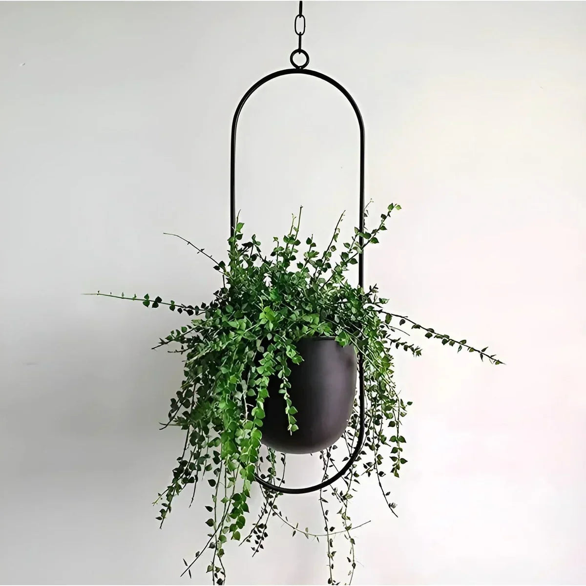 PetalAura - Verdura Oasis Plant Pot Happy Growers