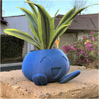 Happy Growers | Unique Succulent Planter - QuirkyPot