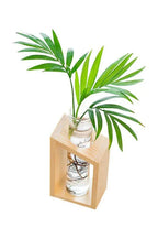 Plant Pot | Happy Growers