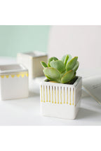 ceramic artistic flower pot | Happy Growers
