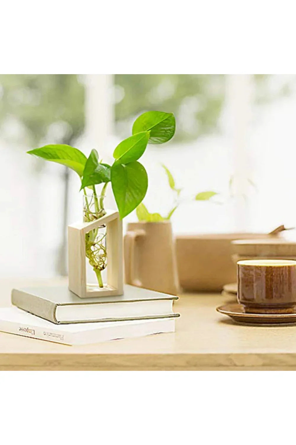 Plant Pot | Happy Growers
