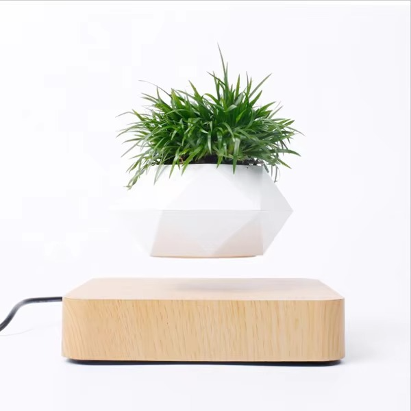 Happy Growers | Magnetic Levitating Bonsai Planter, Floating Flower Pot for Home and Office Décor