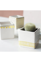 ceramic artistic flower pot | Happy Growers