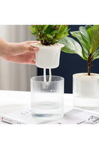 Fish tank plants pot | Happy Growers