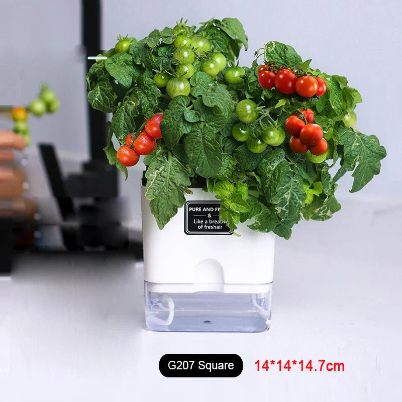 Happy Growers | Plant Pot BloomEase | Self-Watering & Space-Saving | With Water Level Indicator | For Indoor Plants & Herbs