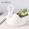 Swan Minimal Ceramic Pot | Happy Growers