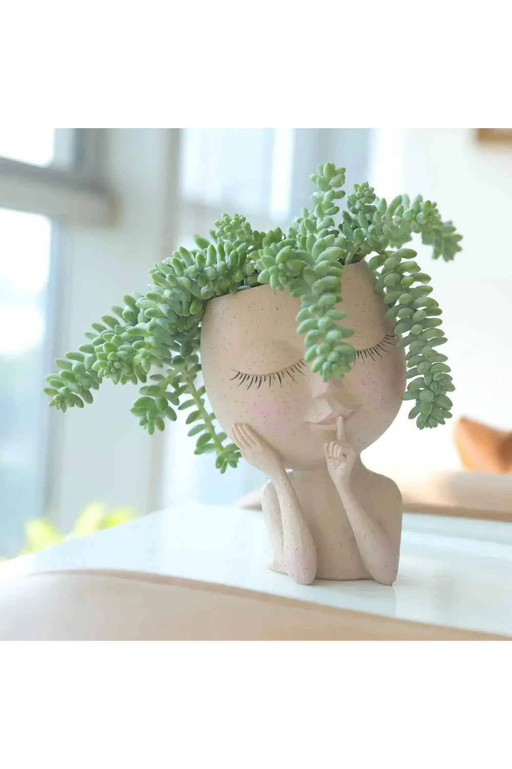 Succulent Plants Pot | Happy Growers