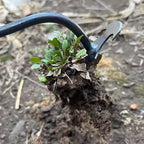 House Growers | Multifunctional Steel Garden Weeding Tool