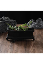 Coffin Plant Pot | Happy Growers