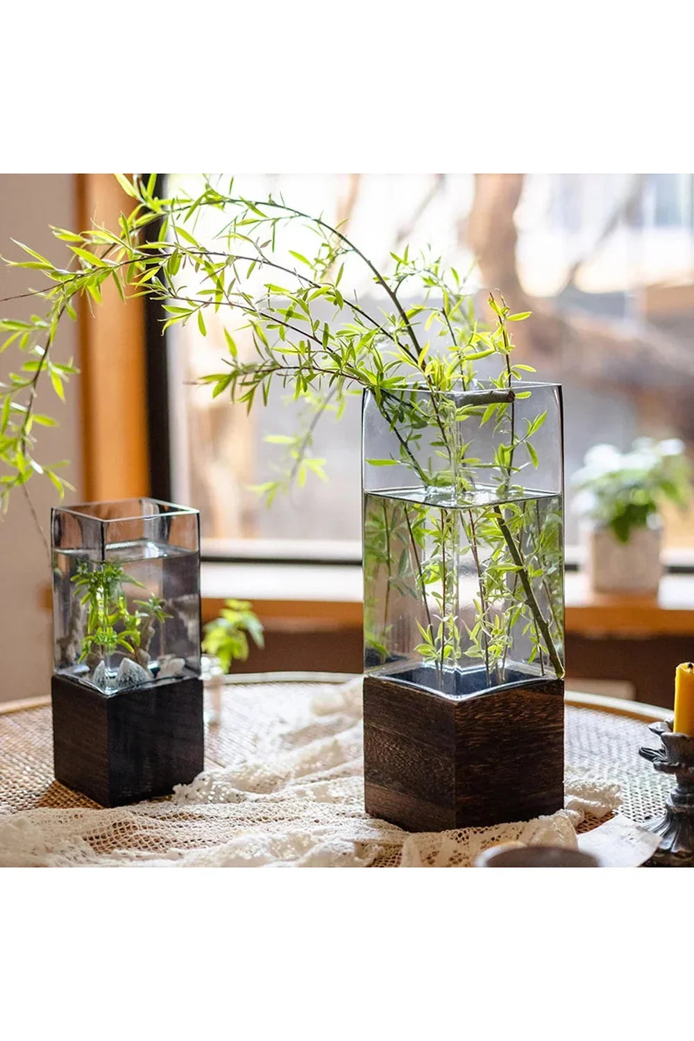 Wood Plant Pot | Happy Growers