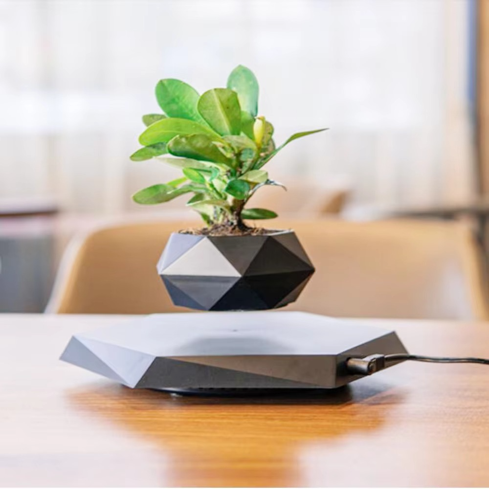Happy Growers | Levitating Plant Pot – Magnetic Floating Planter