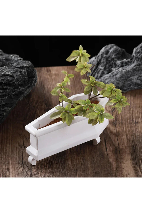 Coffin Plant Pot | Happy Growers