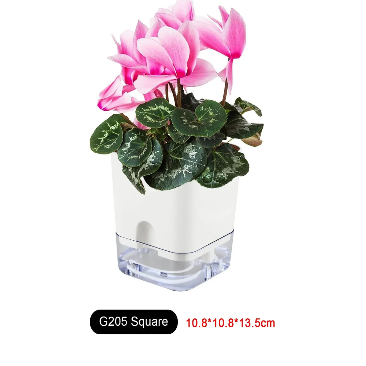 Happy Growers | Plant Pot BloomEase | Self-Watering & Space-Saving | With Water Level Indicator | For Indoor Plants & Herbs