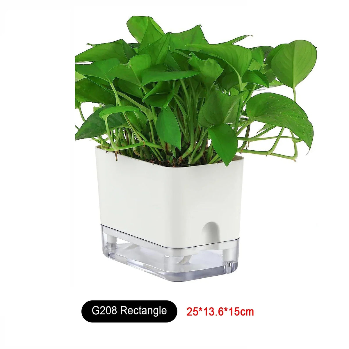 Happy Growers | Plant Pot BloomEase | Self-Watering & Space-Saving | With Water Level Indicator | For Indoor Plants & Herbs