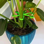 House Growers | Plant Stem Support Frame