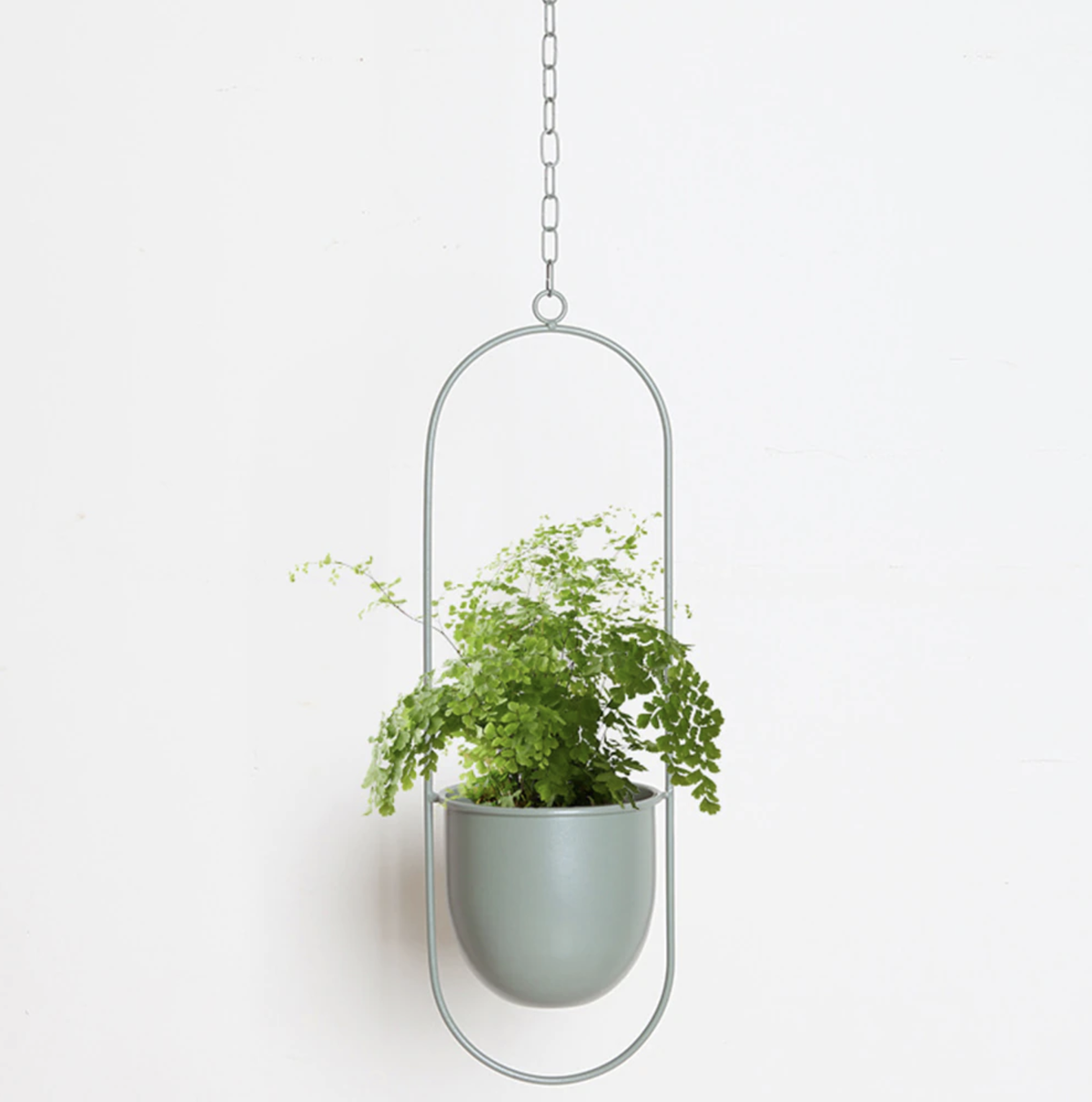 Happy Growers | Wall Hanging Metal Plant Holder – FloraFrame