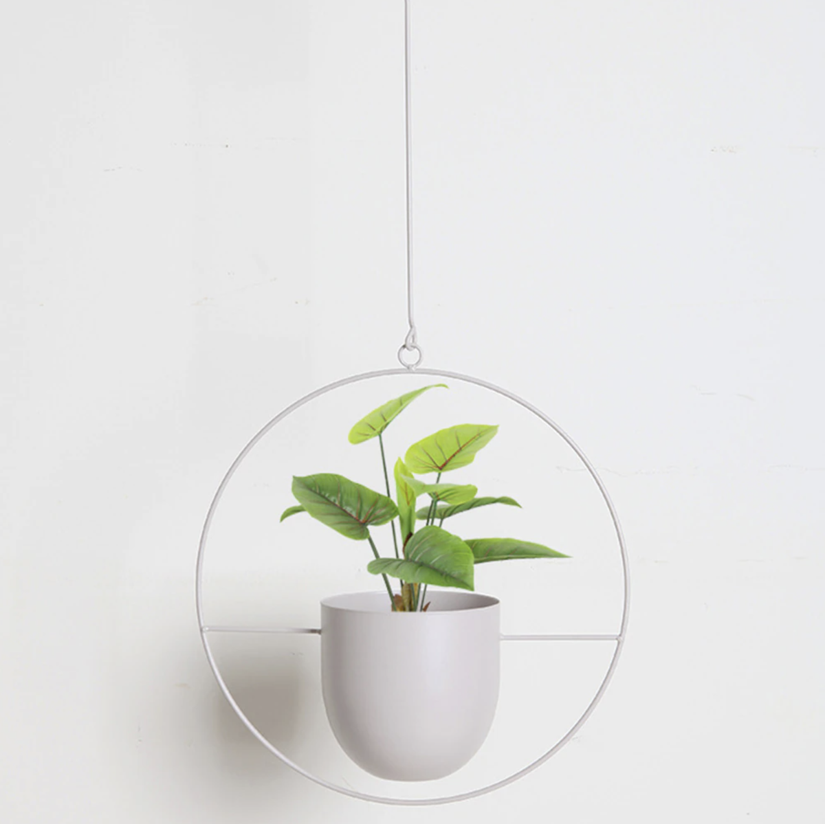 Happy Growers | Wall Hanging Metal Plant Holder – FloraFrame