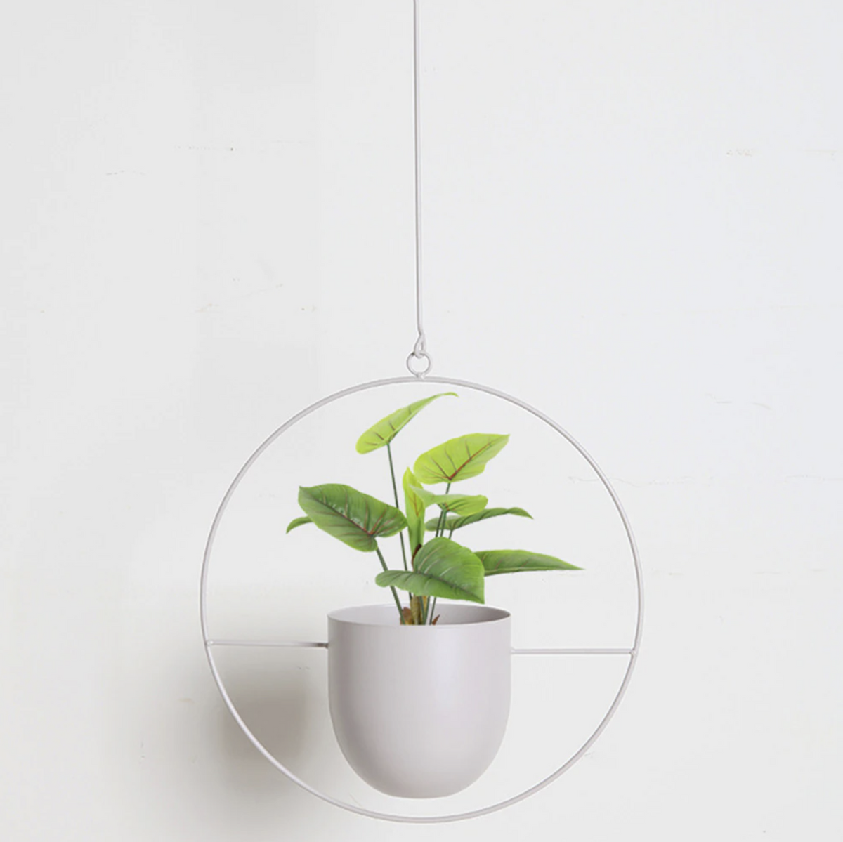Happy Growers | FloraFrame – Elegant Metal Plant Holder for Wall or Ceiling