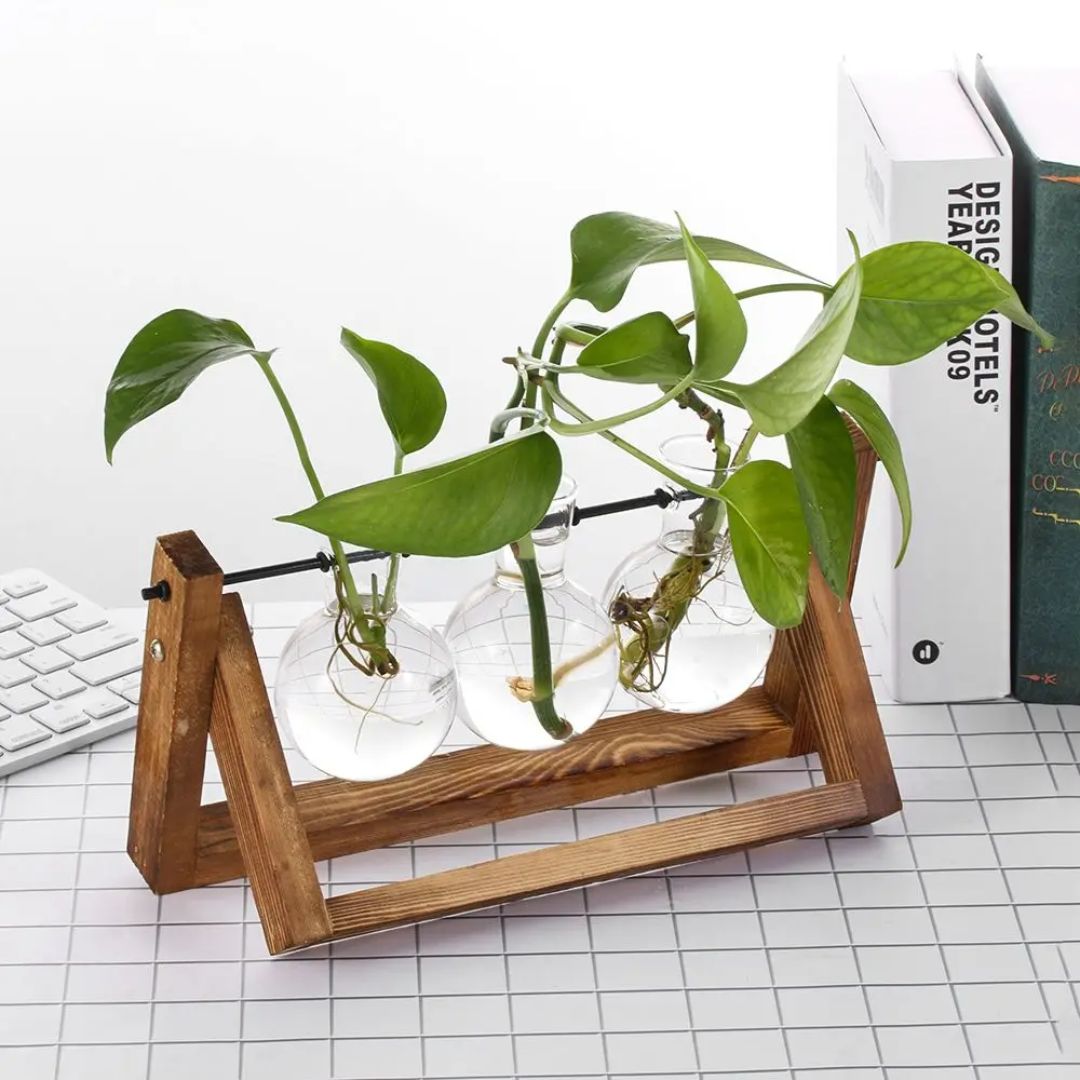 Happy Growers | Modern hydroponic pot with a wooden tray