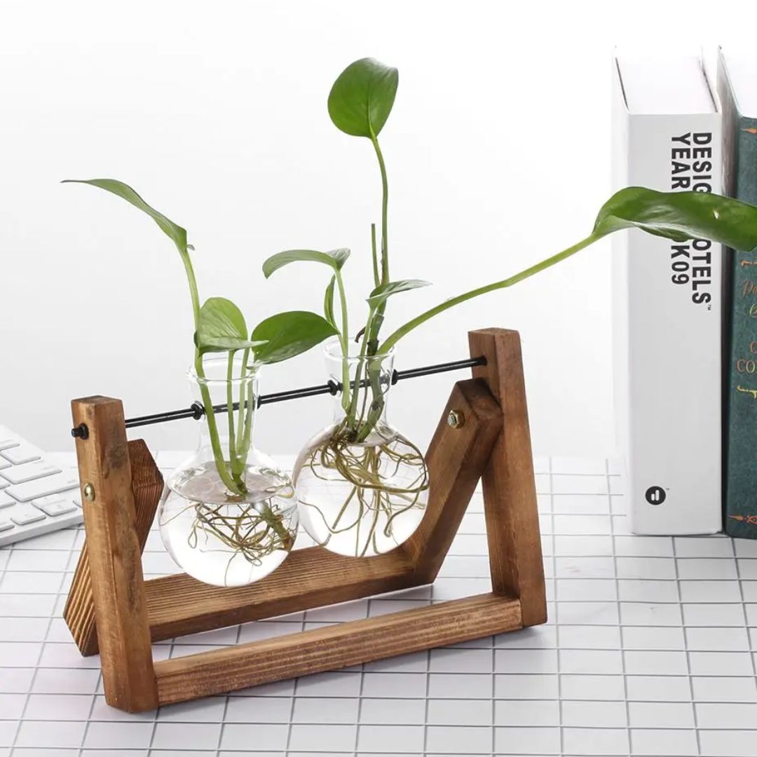 Happy Growers | Modern hydroponic pot with a wooden tray