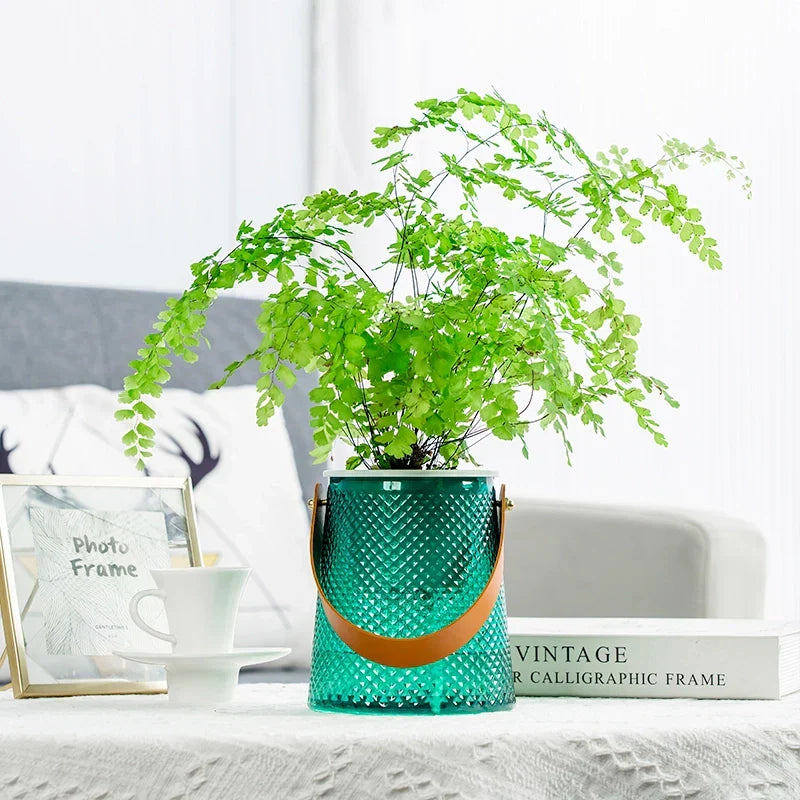 Happy Growers | Self-Watering Indoor Succulent Hydroponic Planter with Handle