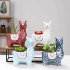Happy Growers | Alpaca Ceramic Pots for Your Plants