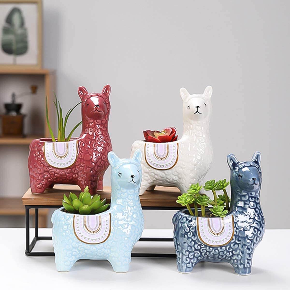 Happy Growers | Alpaca Ceramic Pots for Your Plants