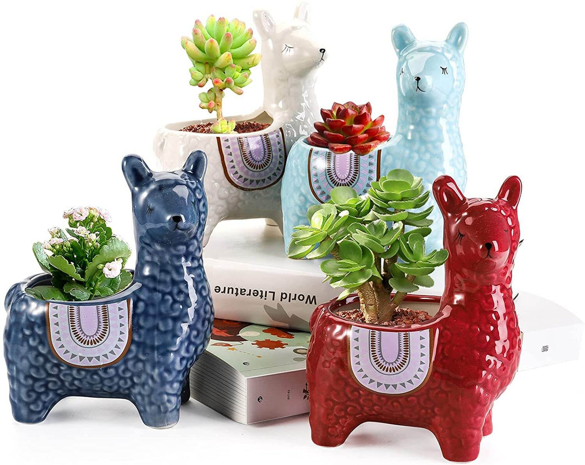 Happy Growers | Alpaca Ceramic Pots for Your Plants