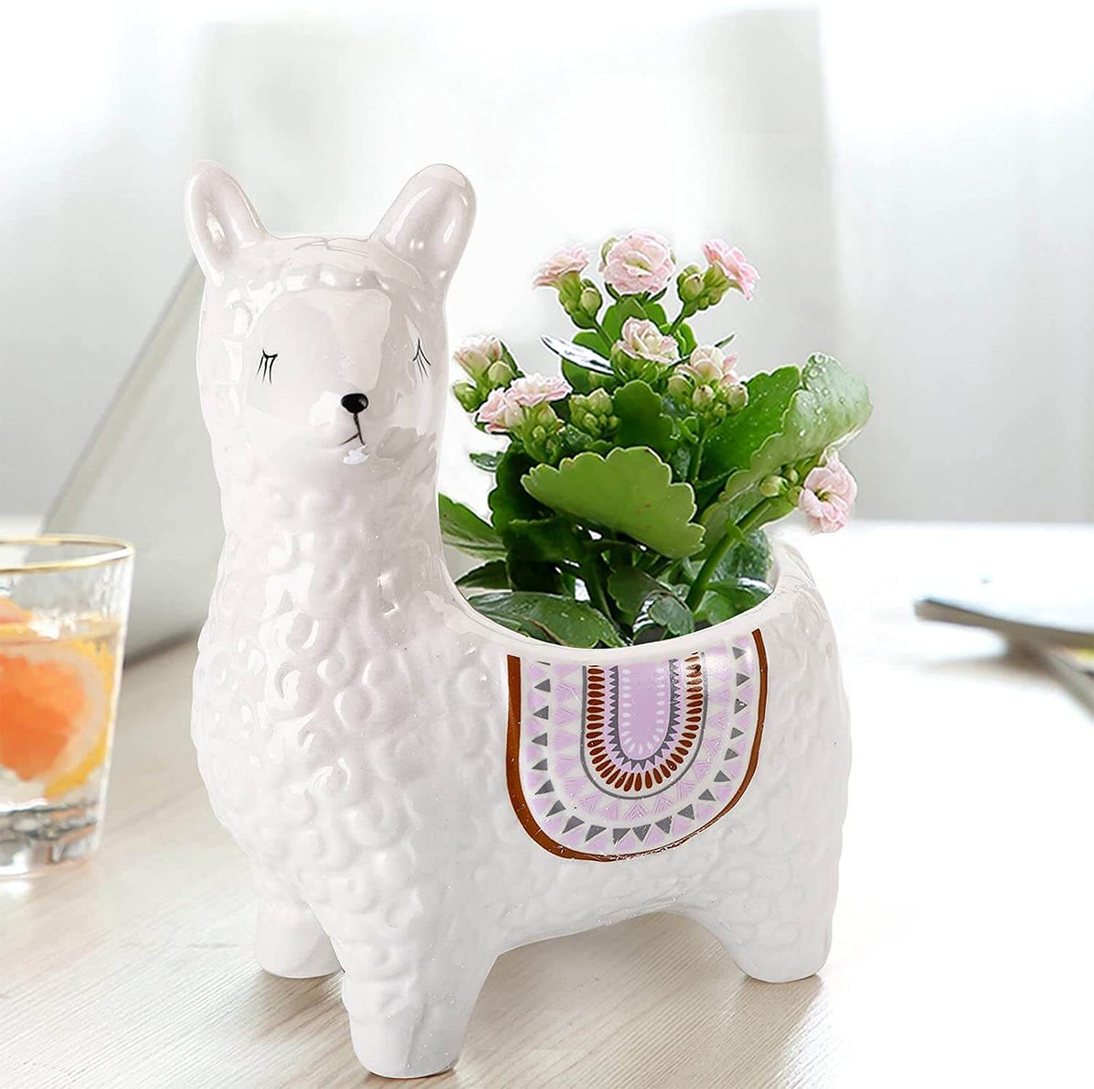 Happy Growers | Alpaca Ceramic Pots for Your Plants