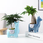 Happy Growers | Alpaca Ceramic Pots for Your Plants