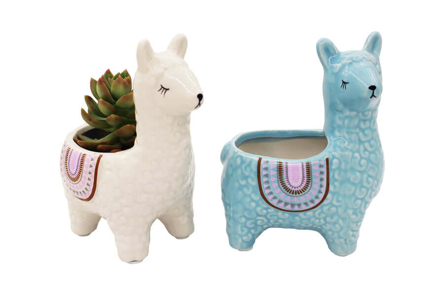 Happy Growers | Alpaca Ceramic Pots for Your Plants