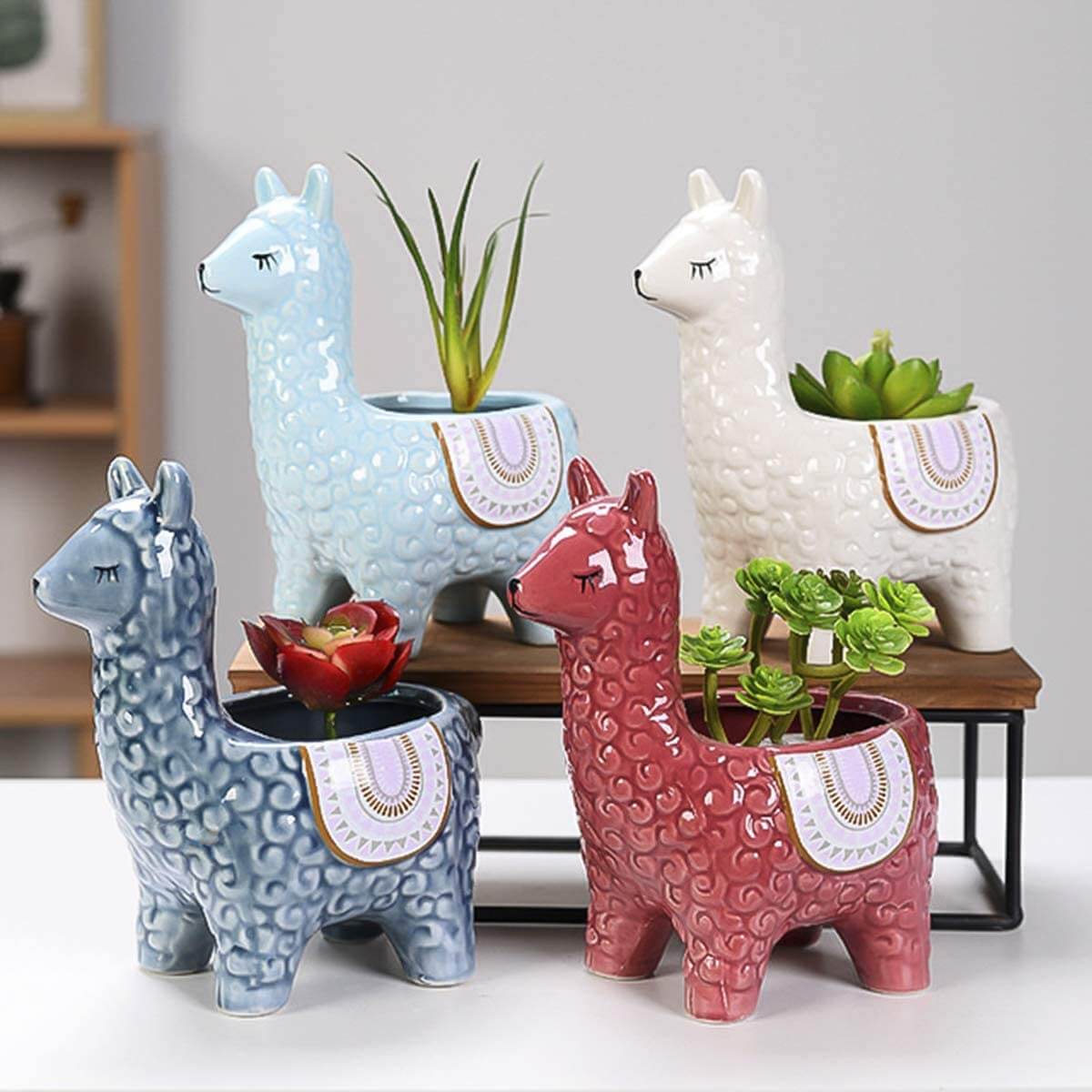 Happy Growers | Alpaca Ceramic Pots for Your Plants